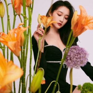 Đầm Đen Nữ Tay Phồng Cổ V Dài Tay Đính Đá Dáng Ngắn Phong Cách Hepburn Thanh Lịch - Ảnh 3