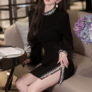Đầm Nữ Dự Tiệc Đầu Thu 2026 Xẻ Tà Trang Trí Lông Vũ Đính Đá Sang Trọng Thiết Kế Độc Đáo